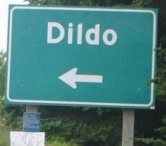 Should the Town Dildo Rename Itself?